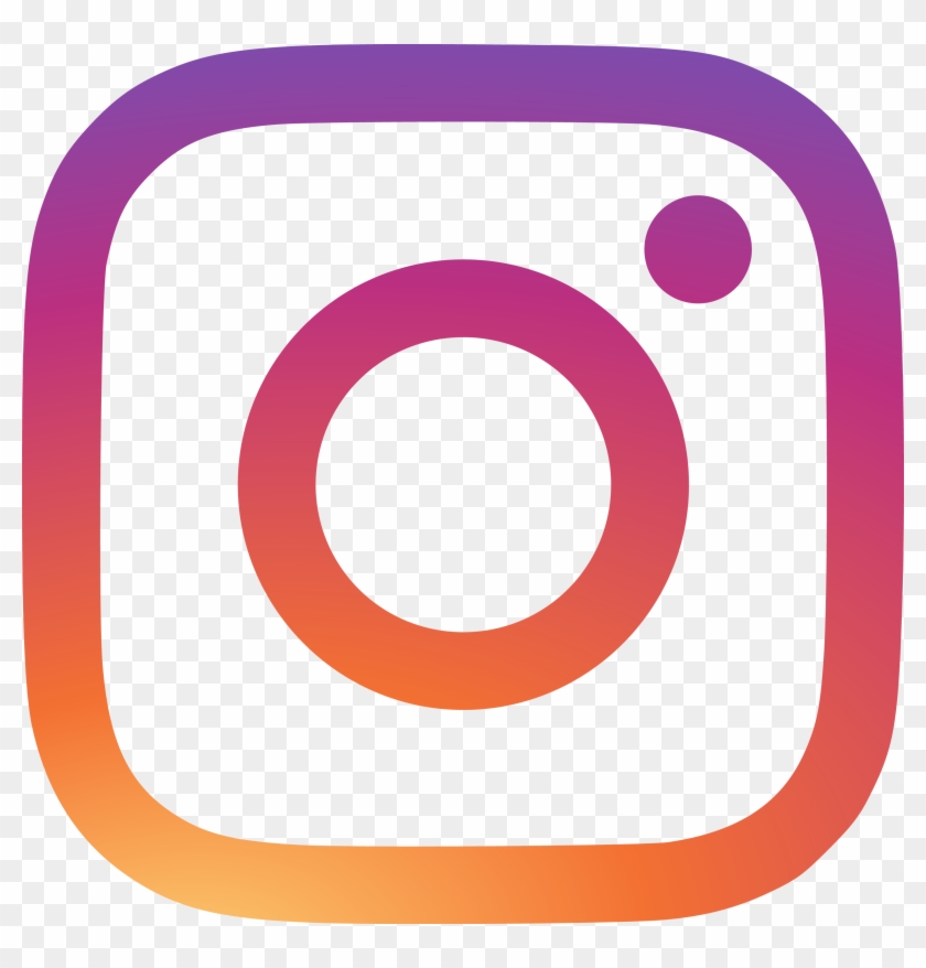 New Instagram Logo Icon Vector